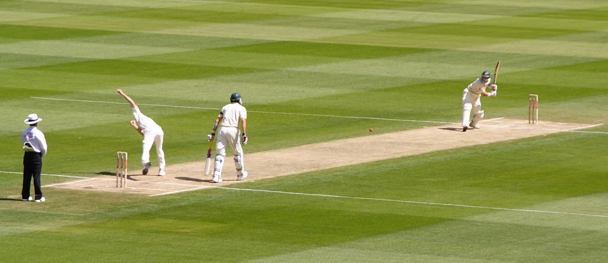 Cricket, photographed in the Wikimedia Commons source image